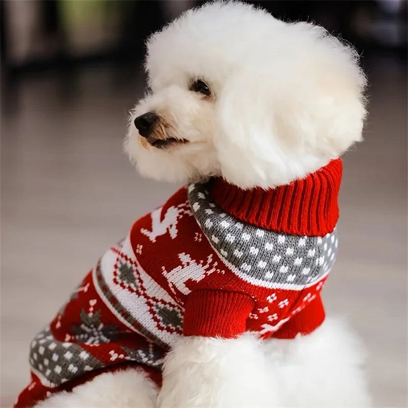 Holiday Sweater for your pup or cat.