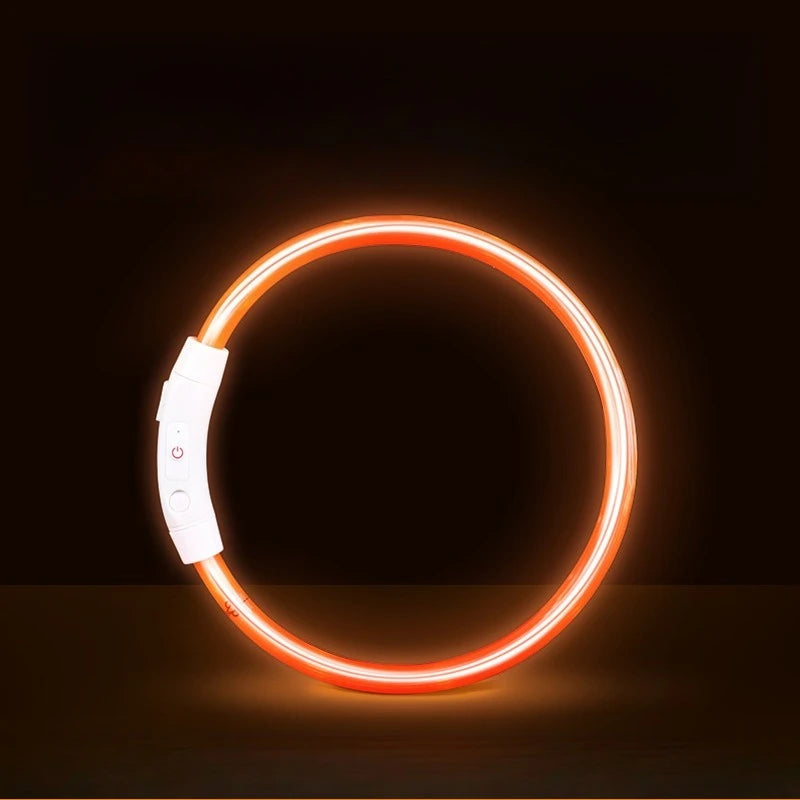 Waterproof, Rechargeable LED Collar with Detachable Light