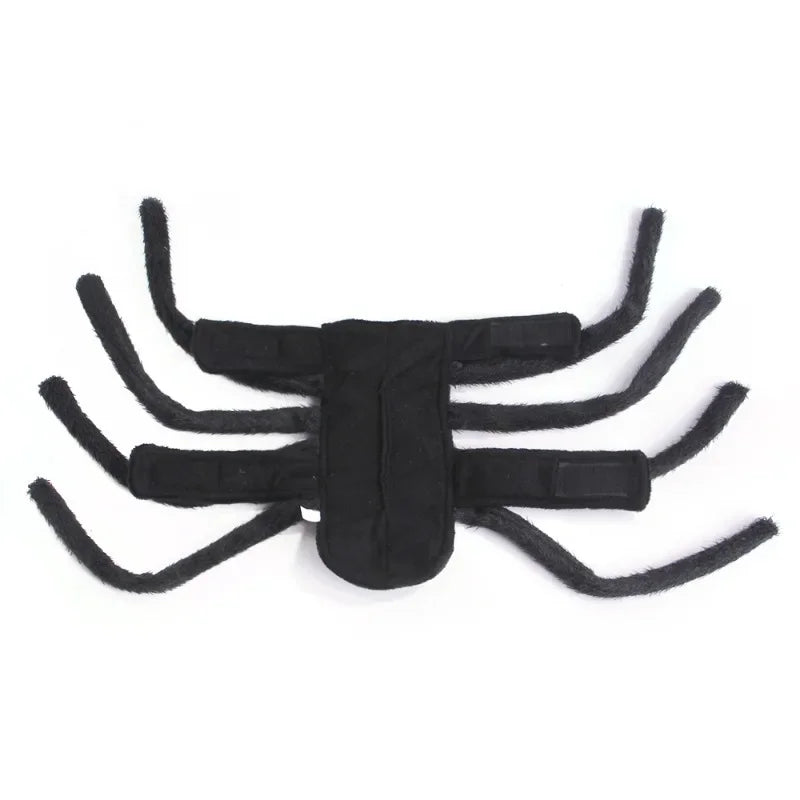 Halloween Spider for your pup.