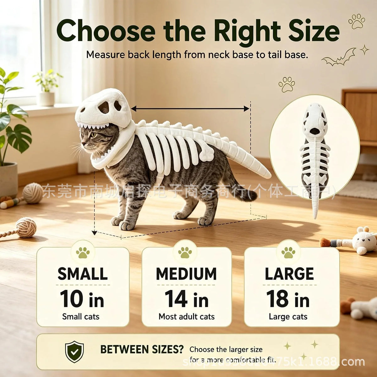 Halloween Dinosaur Skeleton