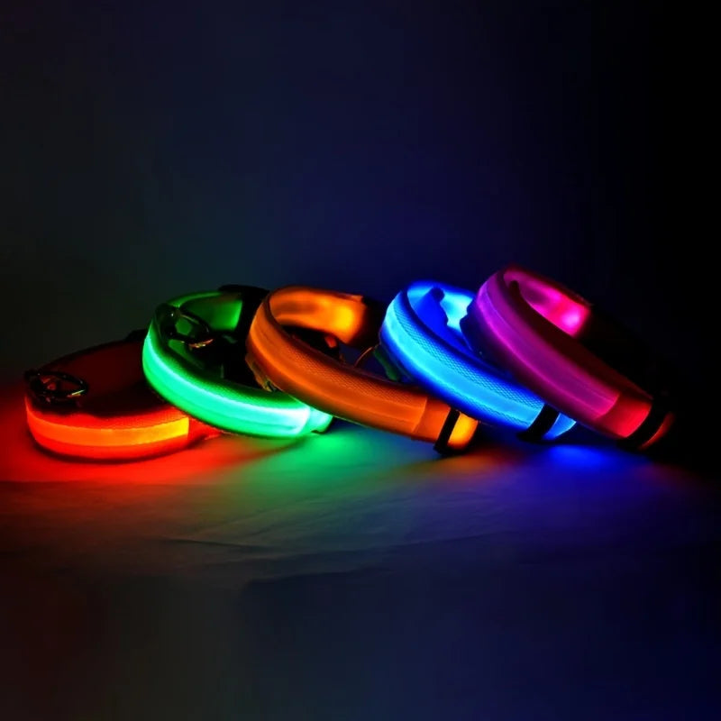 LED Light up collar for your pups nightly walks.