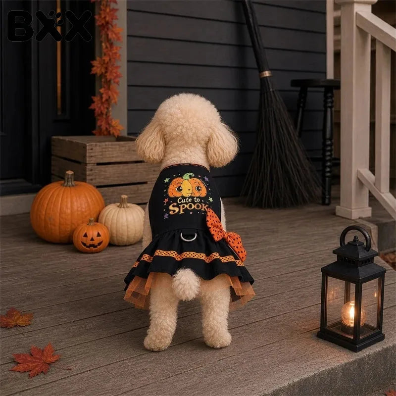 Pumpkin Print Dress Bow Mesh Skirt for your pup.