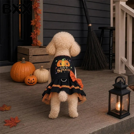 Pumpkin Print Dress Bow Mesh Skirt for your pup.