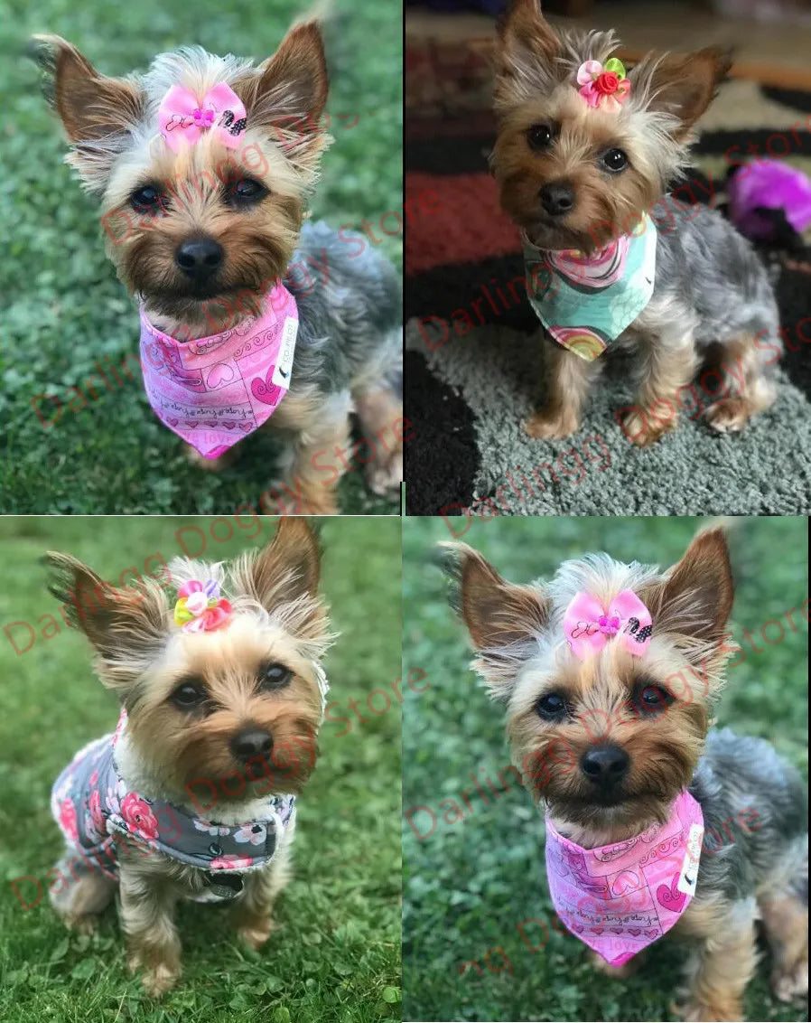 100 Count Handmade Bows for your pup.