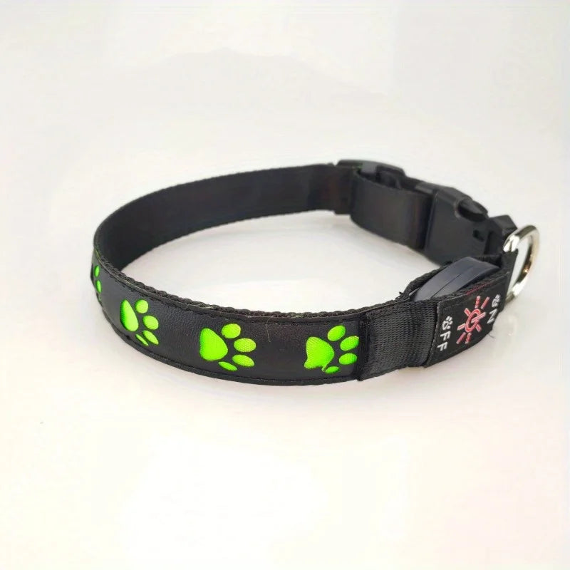 USB Chargeable Collar - 7 colors of light to choose from.