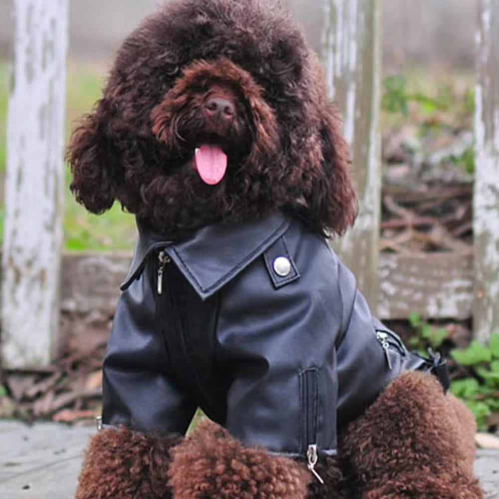 Eagle Pattern Coat PU Leather Jacket Soft & Waterproof for your pup or cat.