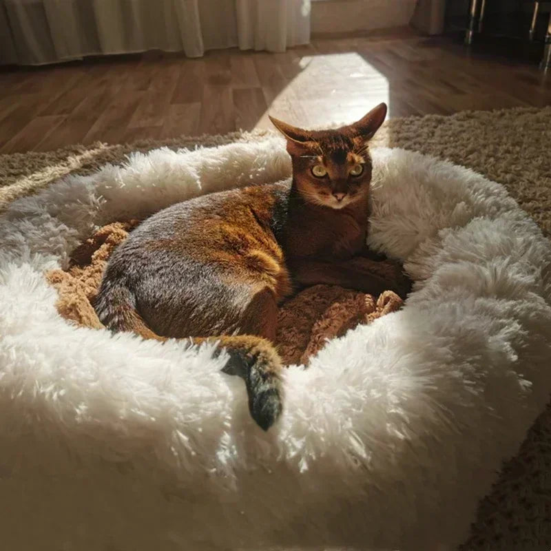 Round Super Soft Bed