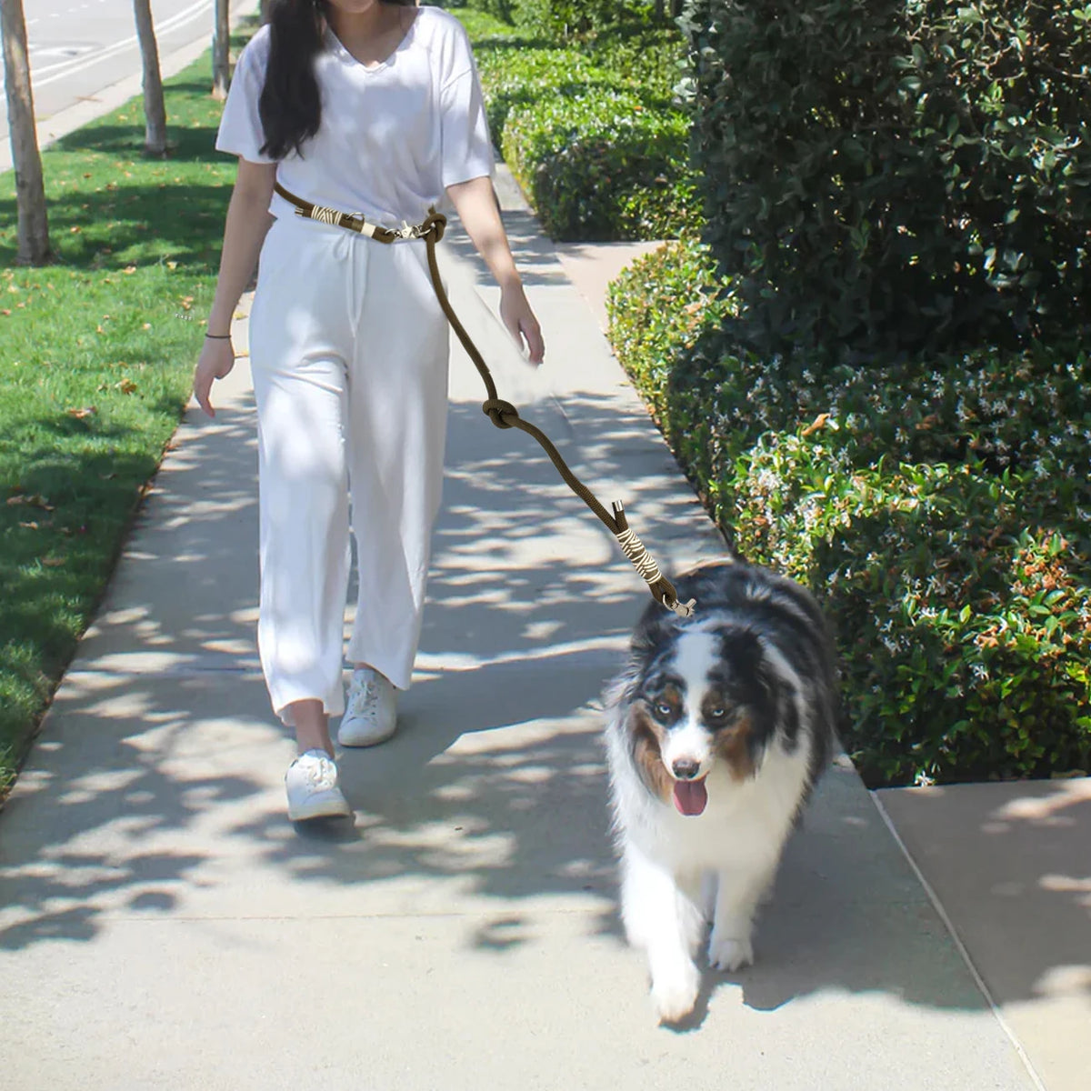 Durable Nylon Rope Braided Adjustable Leash
