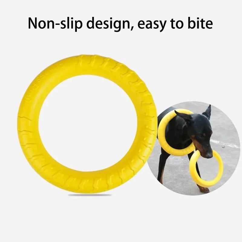 Flying Disk Training Ring