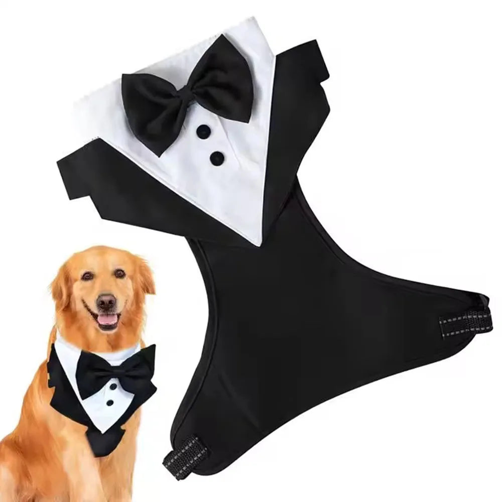 Tuxedo with Bow Tie for your pup's special day.