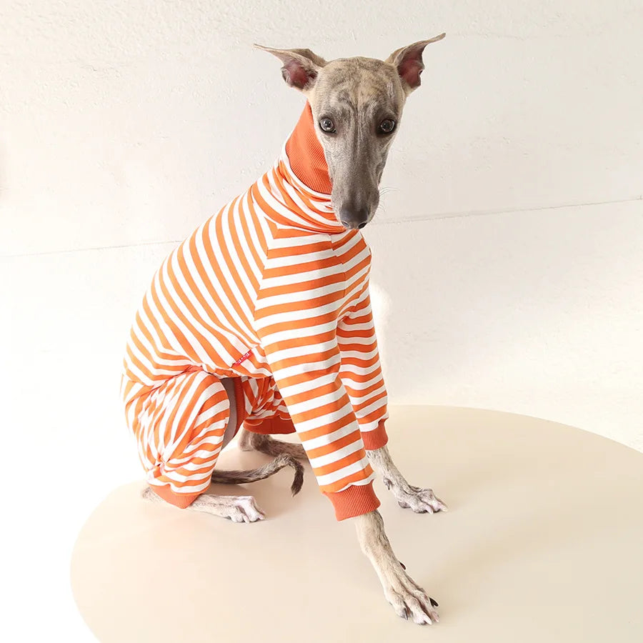 Cozy Striped Dog Pajamas for Italian Greyhounds & Whippets
