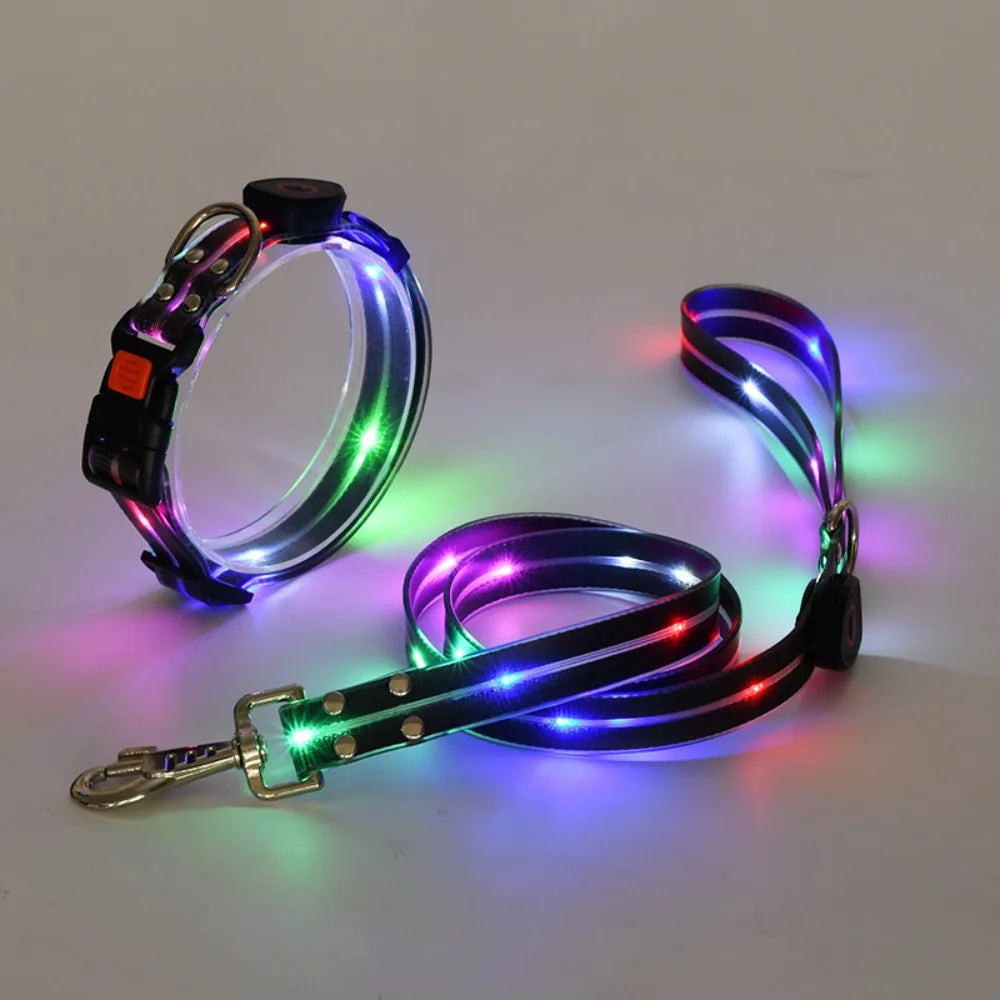 Rechargeable, Adjustable & Waterproof LED Leash for your pup.