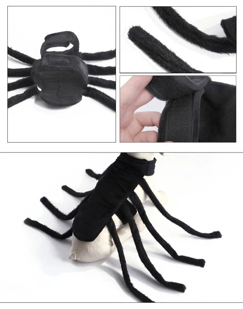 Halloween Spider for your pup.