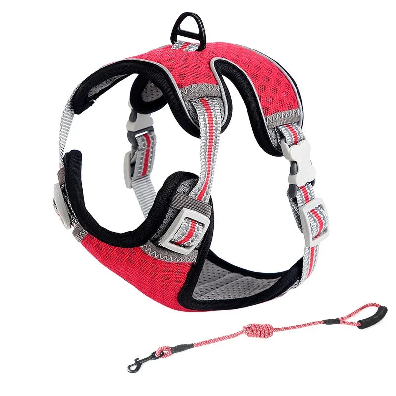 Reflective Escape Proof Cat Harness and Leash for Walking,