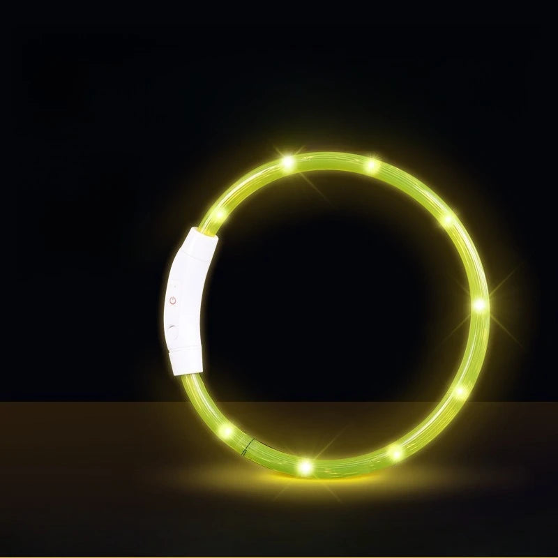 Waterproof, Rechargeable LED Collar with Detachable Light