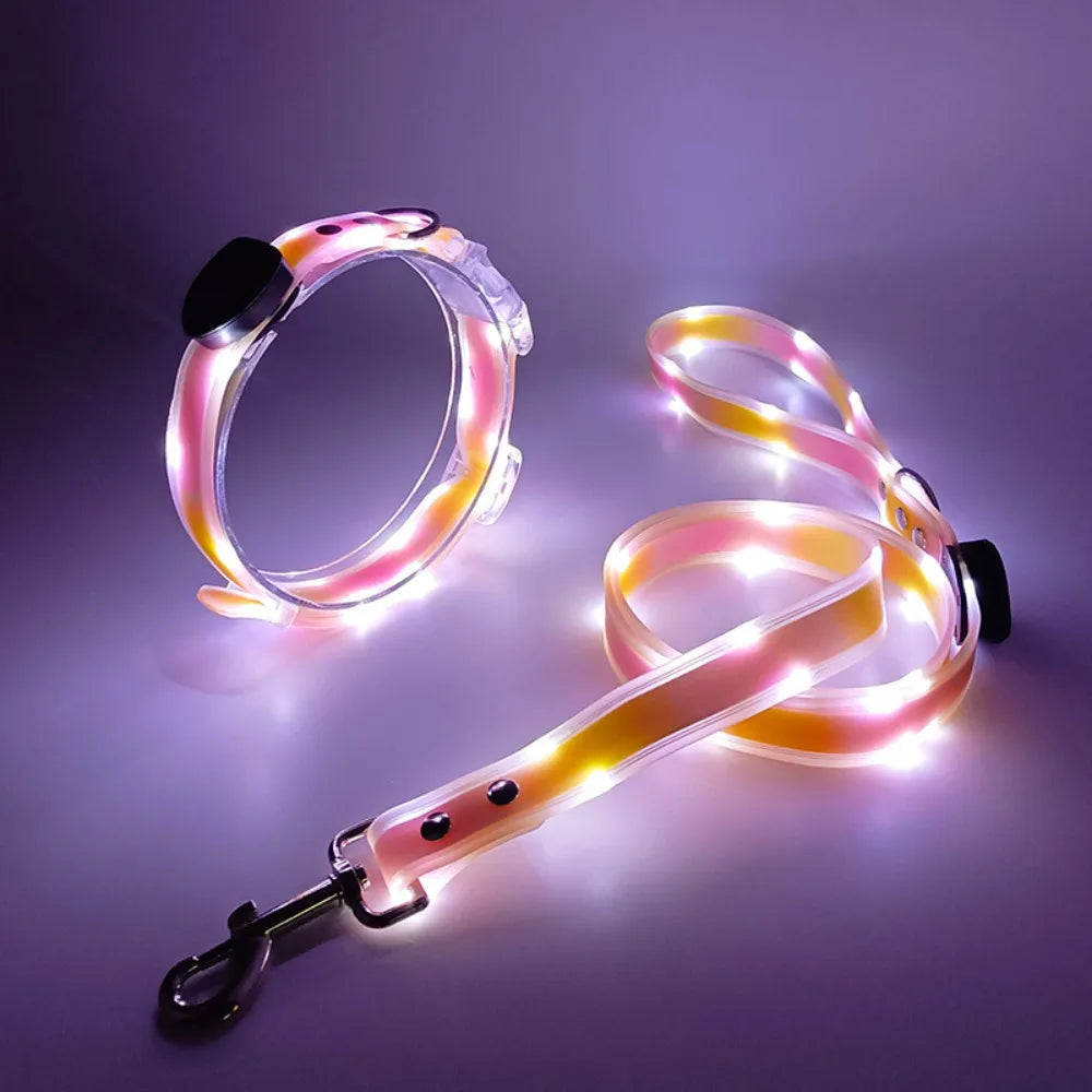 Rechargeable, Adjustable & Waterproof LED Leash for your pup.