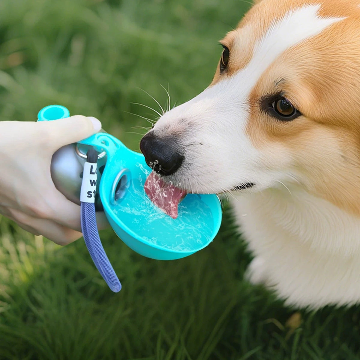 Stainless Steel Collapsible Portable Water Bowl