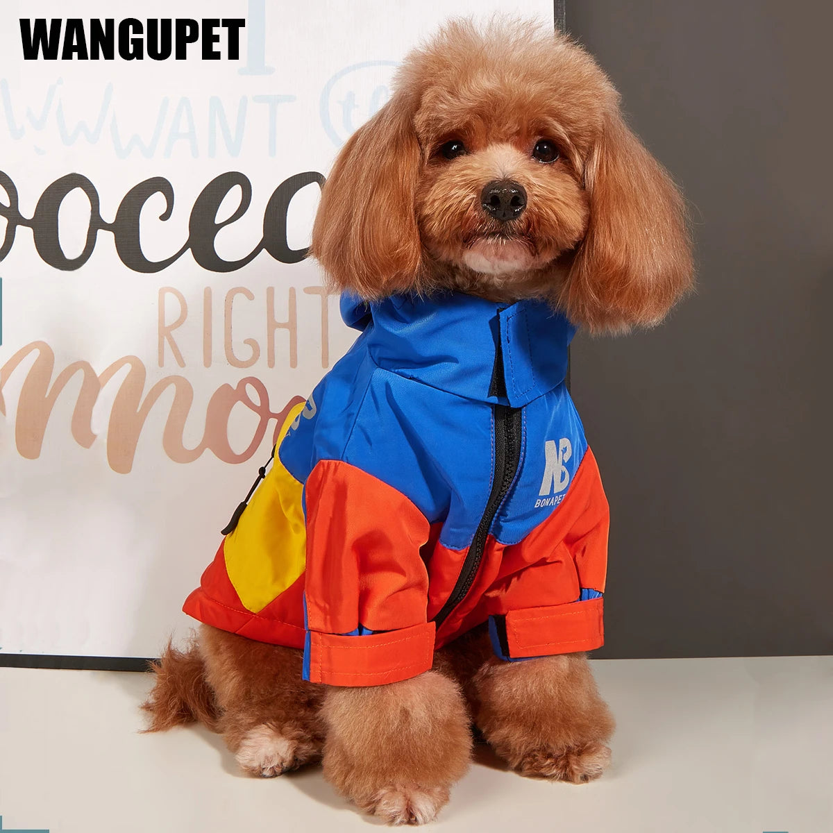 Waterproof & Reflective Jacket for your pup.