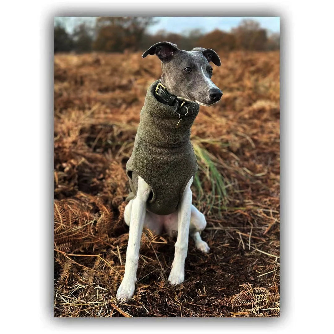 Solid Color Fleece High-neck Winter Vest for Greyhound or Whippet.