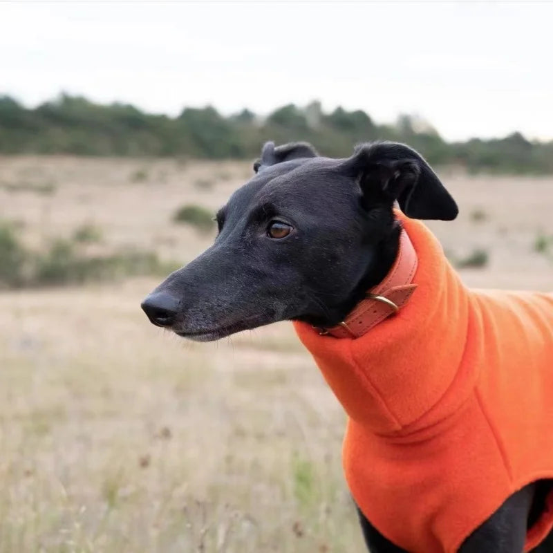 Solid Color Fleece High-neck Winter Vest for Greyhound or Whippet.