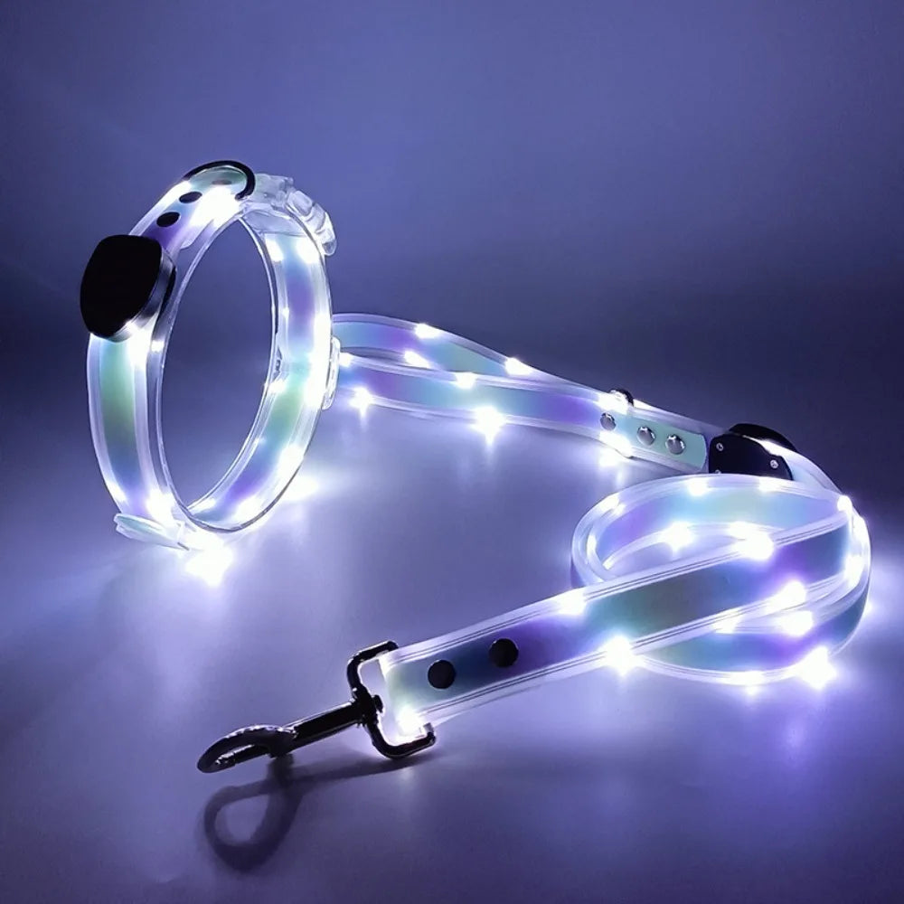 Rechargeable, Adjustable & Waterproof LED Leash for your pup.