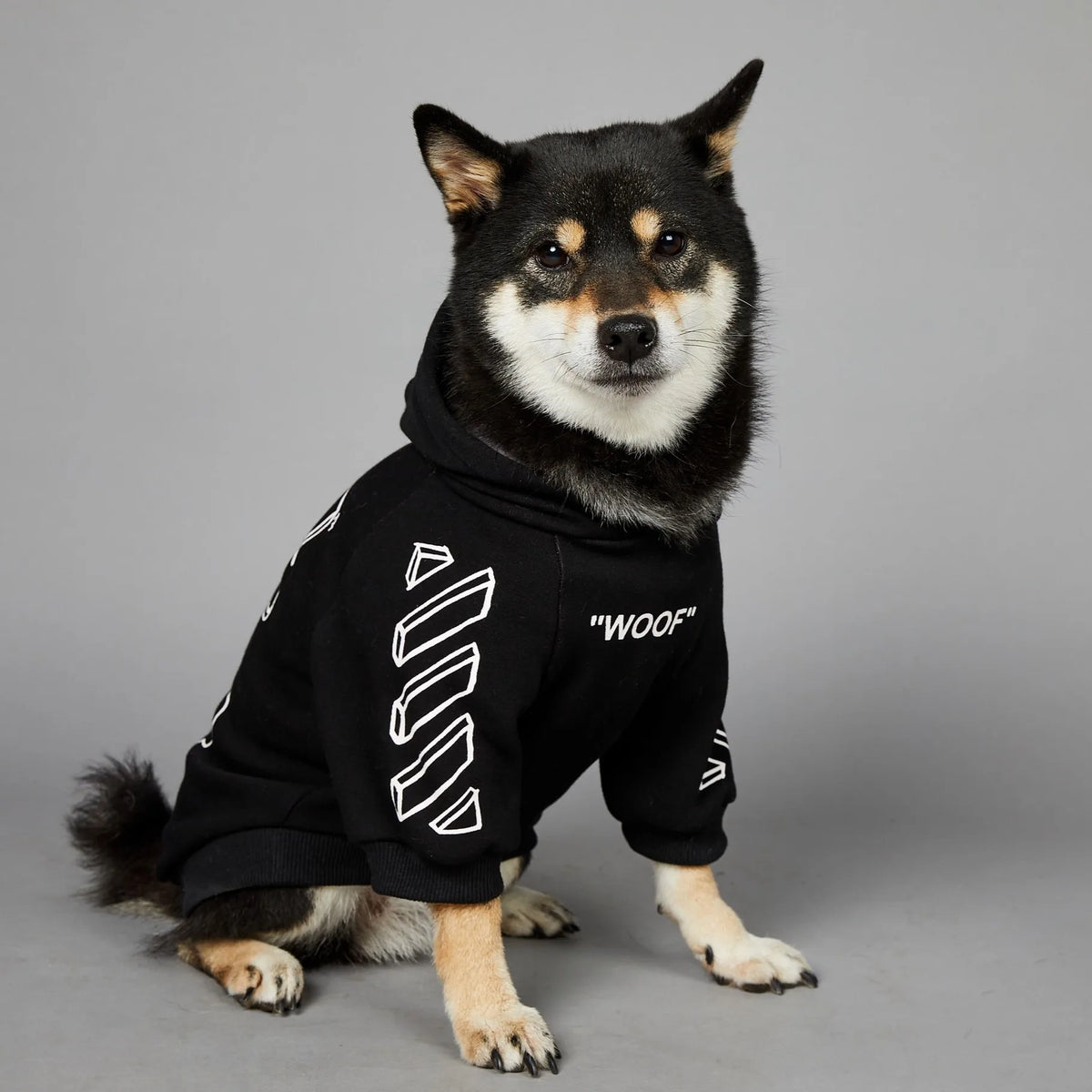 Designer Hoodies for your pup.