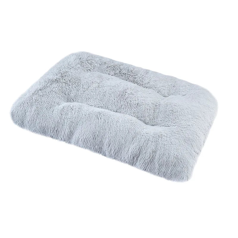 Soft and Cozy Bed