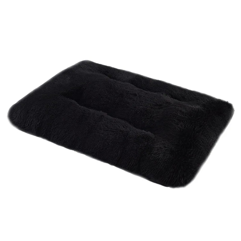 Soft and Cozy Bed