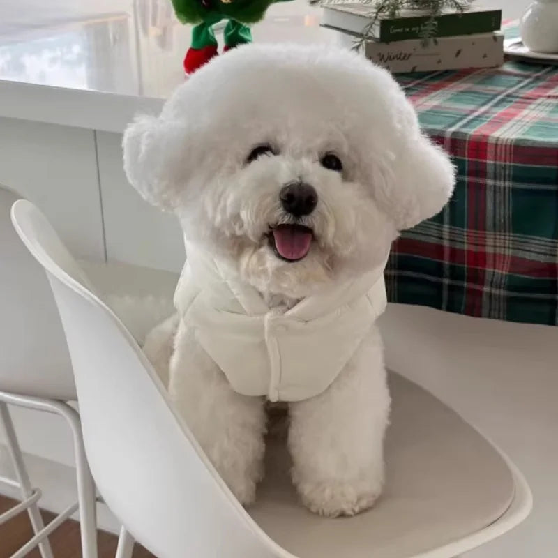 Thick Jacket Embroidered with bows to keep your pup warm.