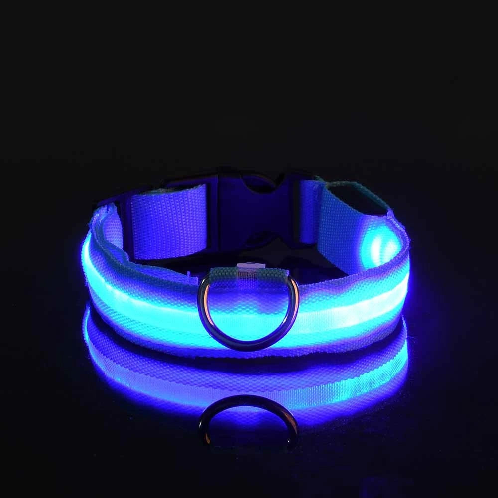 LED Light up collar for your pups nightly walks.