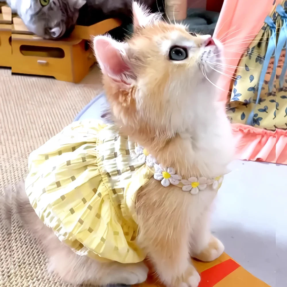 Breathable Cat Dress with Floral Wreath Collar