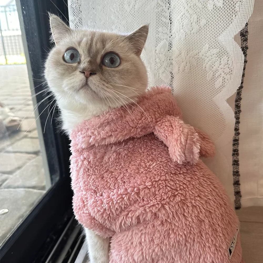 Warm Fleece for your cat for those cold winter nights.
