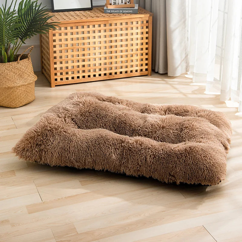 Soft and Cozy Bed