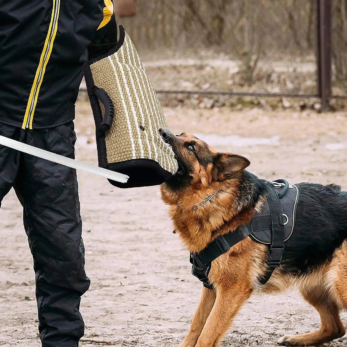 Dog Training Sleeves
