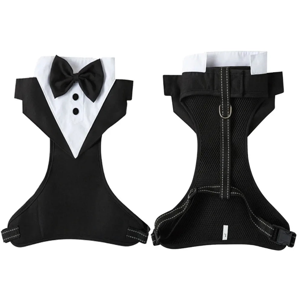 Tuxedo with Bow Tie for your pup's special day.