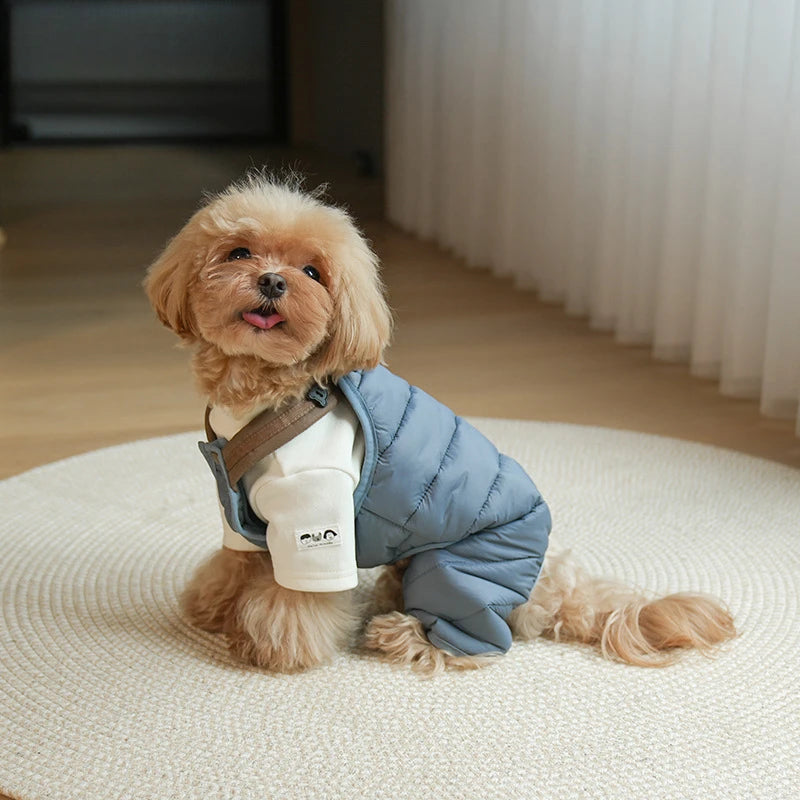Jumpsuit for your pup.