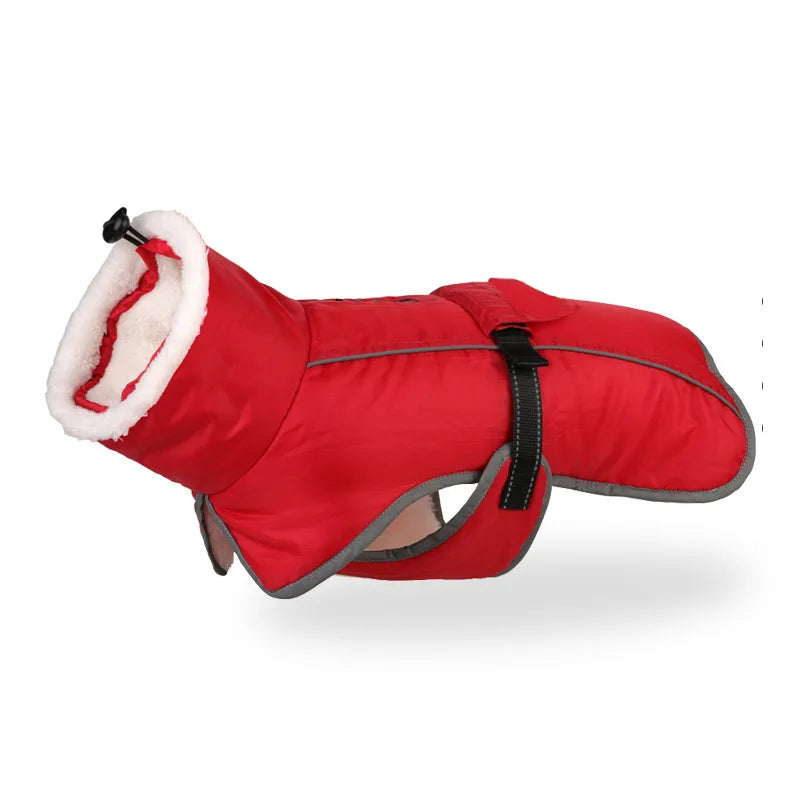 Reflective Winter Jacket for your pup.