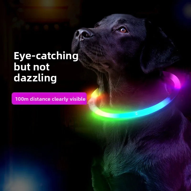 Waterproof, Rechargeable LED Collar with Detachable Light