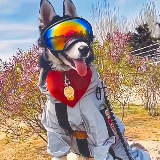 UV Protection Ski Goggles for the slopes.