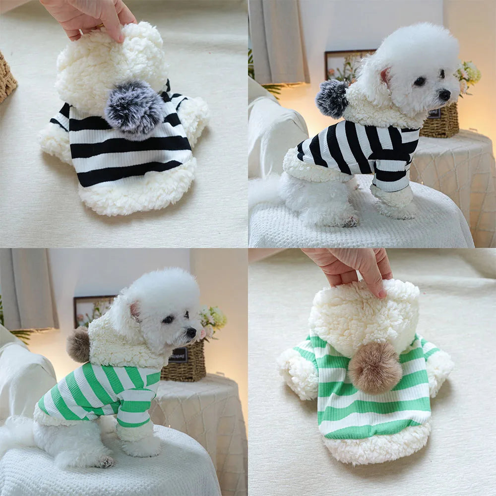 A cute striped hoodie for your small pup.