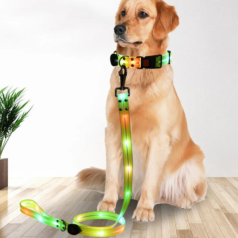 Rechargeable, Adjustable & Waterproof LED Leash for your pup.