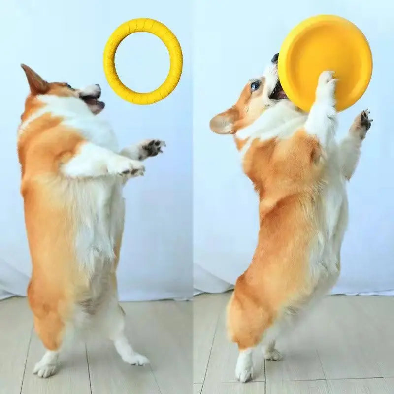 Flying Disk Training Ring