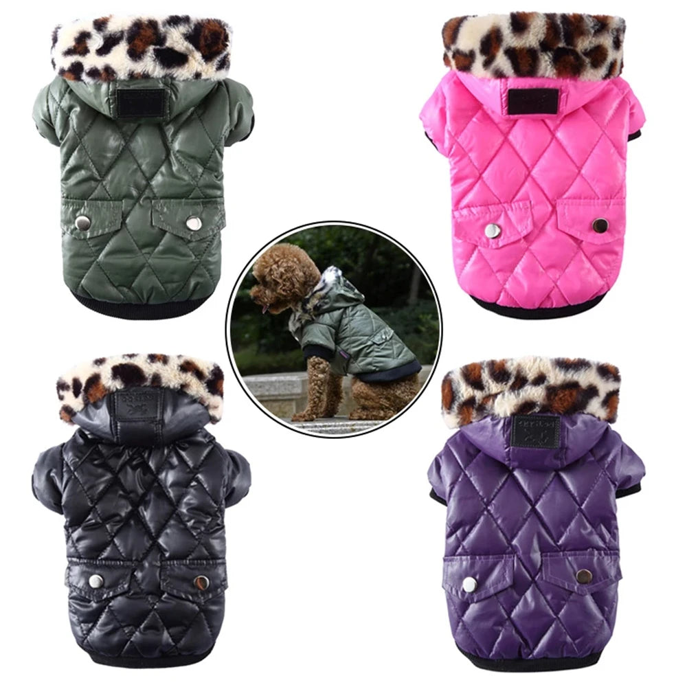 Waterproof Winter Jacket with Print Collar for your pup.
