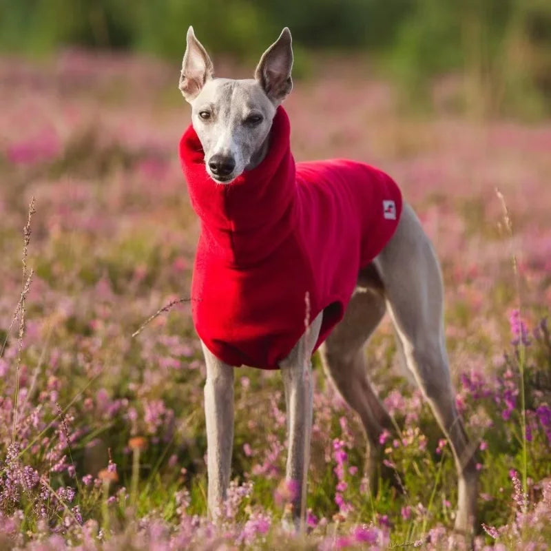 Solid Color Fleece High-neck Winter Vest for Greyhound or Whippet.