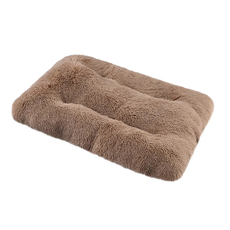 Soft and Cozy Bed