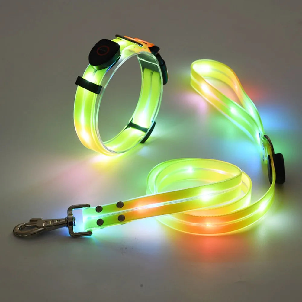 Rechargeable, Adjustable & Waterproof LED Leash for your pup.