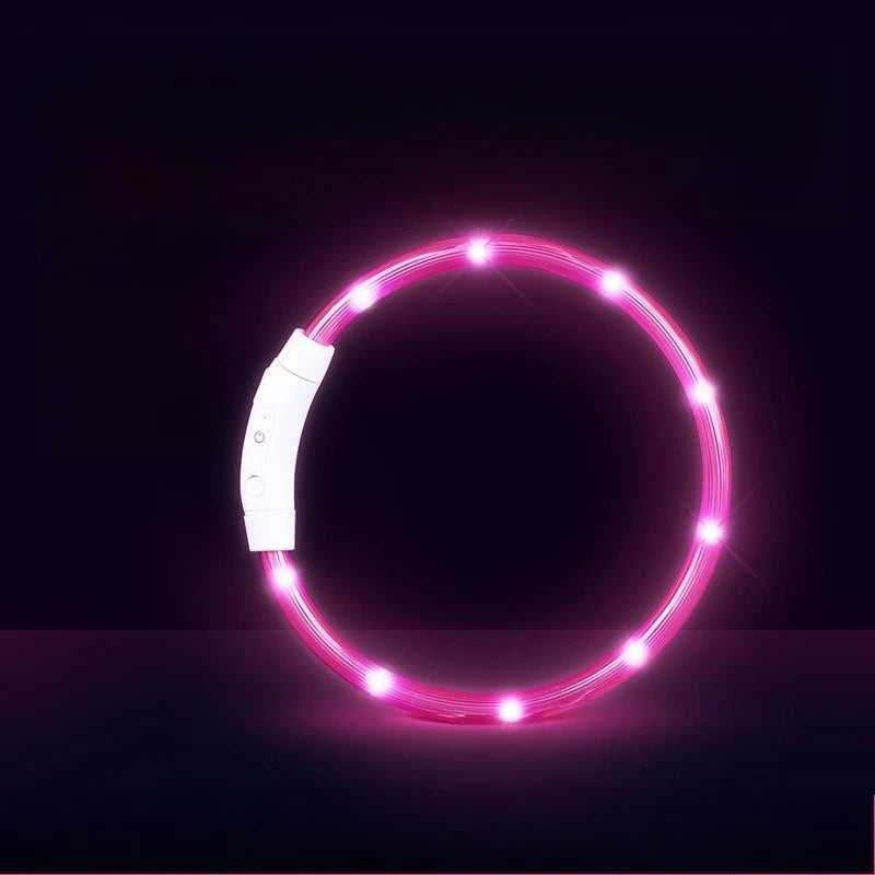 Waterproof, Rechargeable LED Collar with Detachable Light