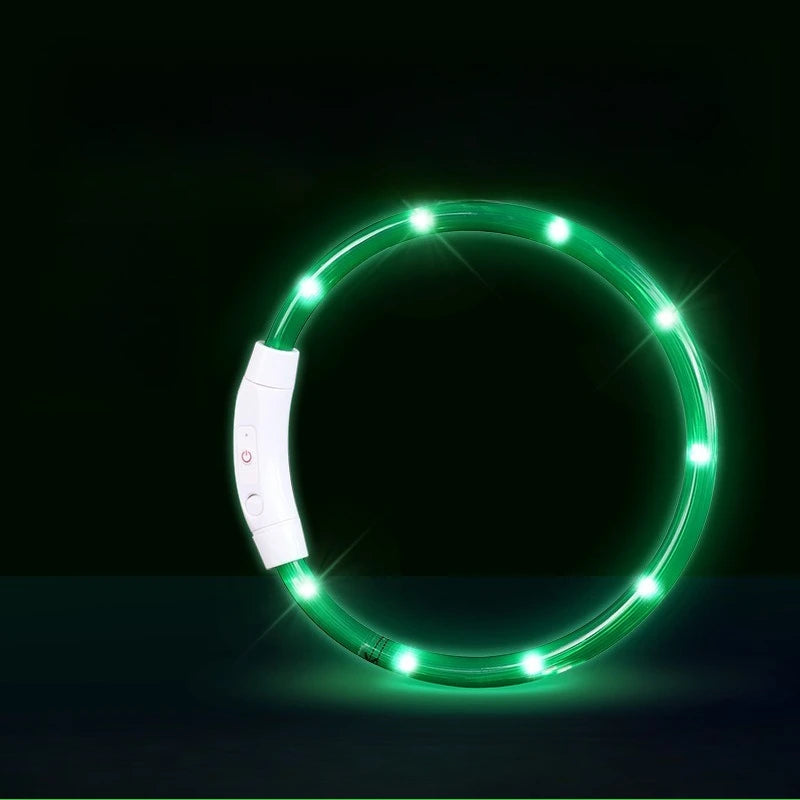 Waterproof, Rechargeable LED Collar with Detachable Light