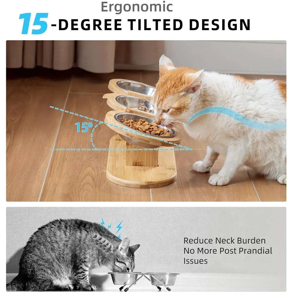 Elevated & Tilted 15 degrees for ease in eating