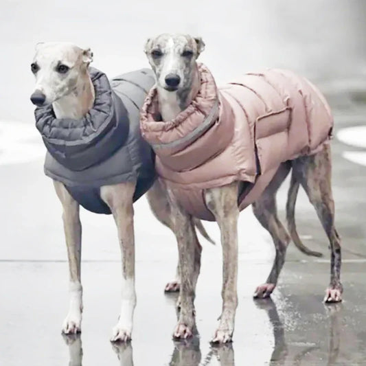 Reflective Winter Coat for your pup.